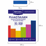 Пластилин классический BRAUBERG "АКАДЕМИЯ КЛАССИЧЕСКАЯ", 10 цветов, 200 г, стек, ВЫСШЕЕ КАЧЕСТВО, 106503, фото 6