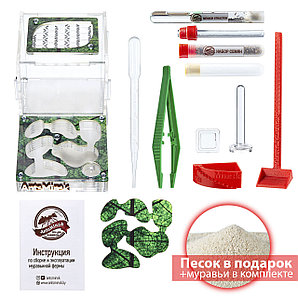 Муравьиная ферма "XL" sheet (Стартовый комплект)
