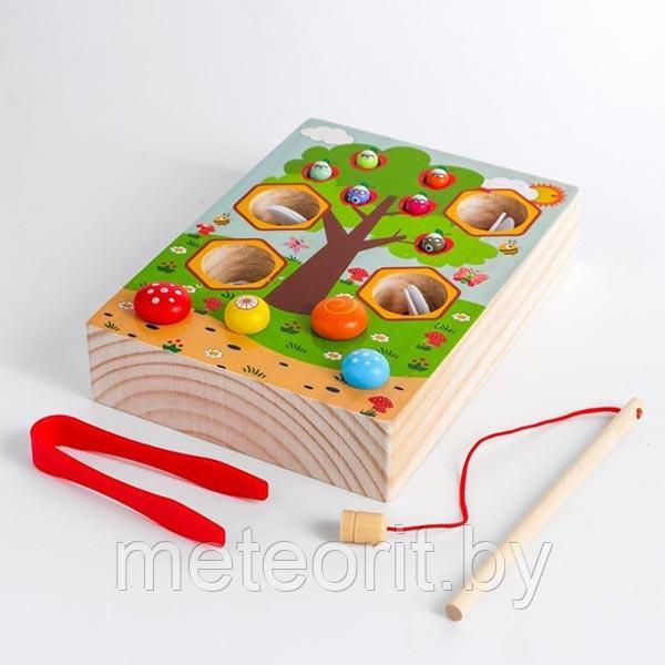 Рыбалка, грибы и пчелки - развивающая игра