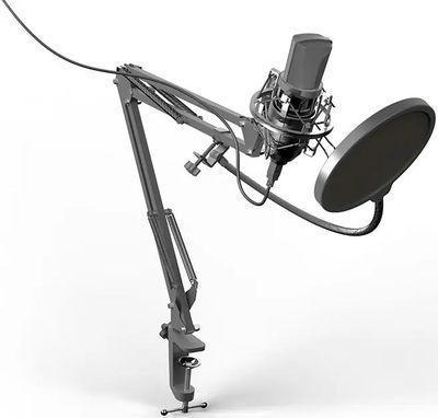 Микрофон Ritmix RDM-169,  черный [80000749]