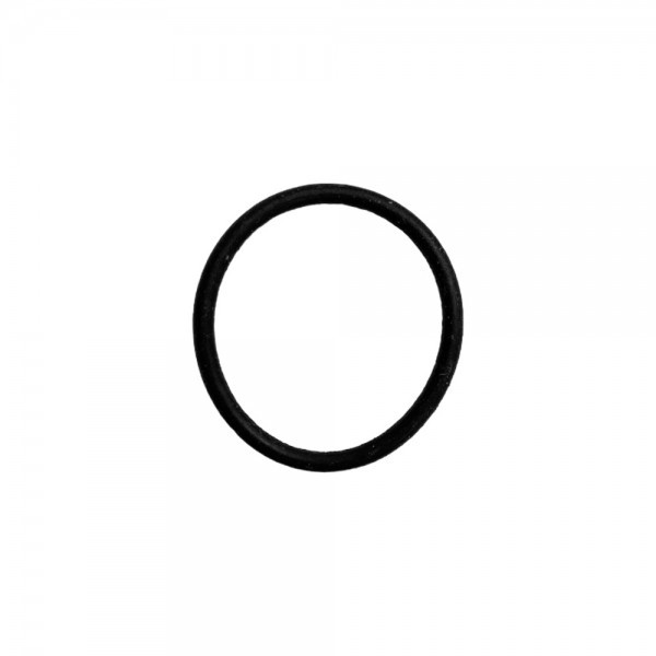 Кольцо уплотнительное D 20х2 для HZ 04.109