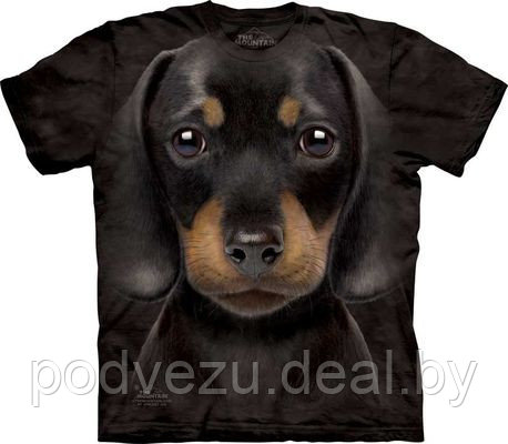 Футболка Dachshund Puppy (103695) - фото 1 - id-p4884000