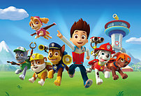 Игрушки серии "Щенячий патруль" Paw Patrol 