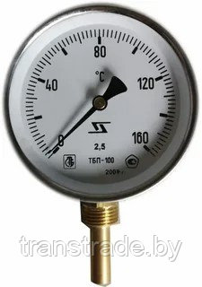 ТБП-100 Т.(+;-50)/250 мм.