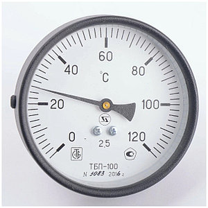 ТБП-100 Р.450/100 мм