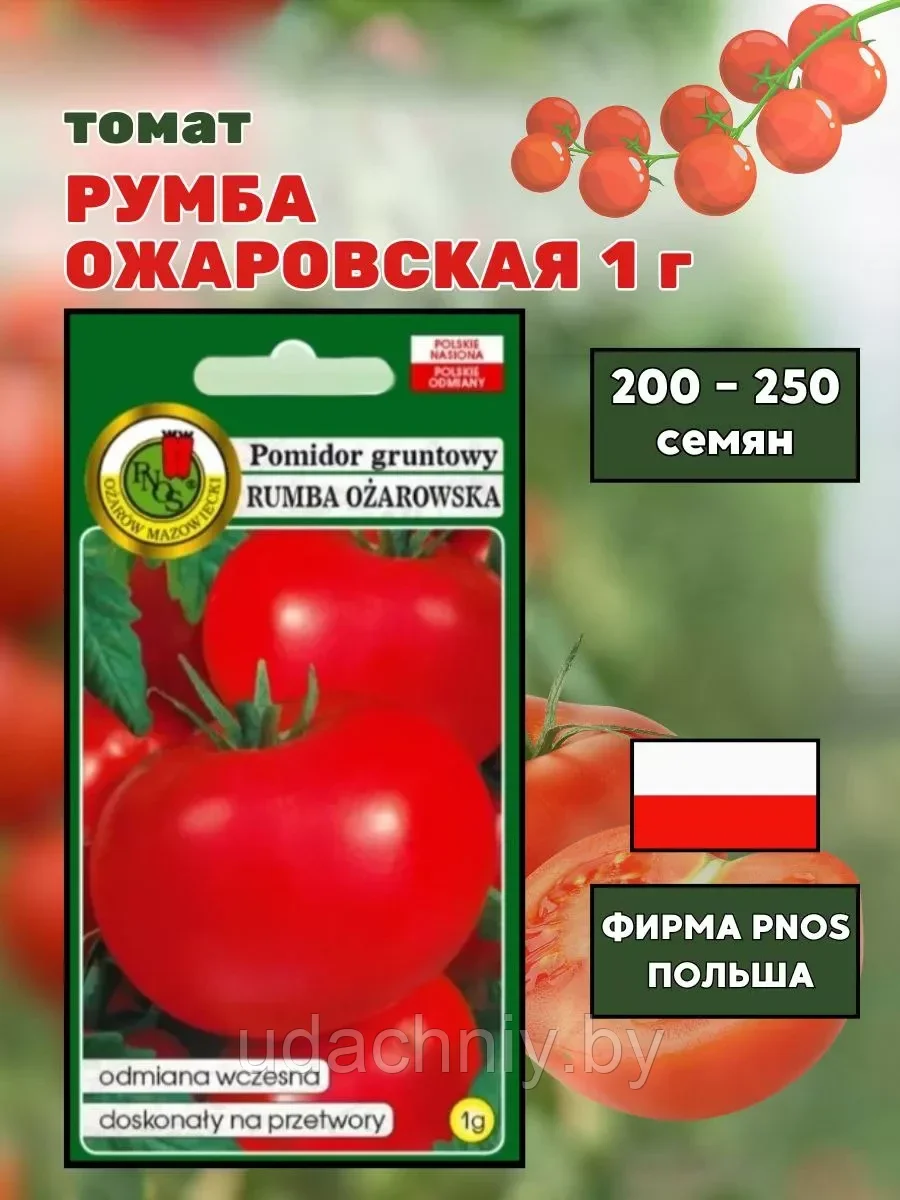 Томат Румба Ожаровская. 1 г. "PNOS", Польша.