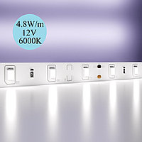 Светодиодная лента Maytoni 4.8W/m 12V 5m IP20 6000К холодный белый