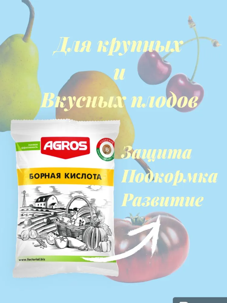 Борная кислота 40г - фото 1 - id-p206980296