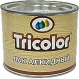 Лак алкидный TRICOLOR  22 кг, фото 2