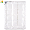 Комплект одеяло детское гипоаллергенное Hollofil Allerban размер 100x135 + подушка 40x60, фото 2