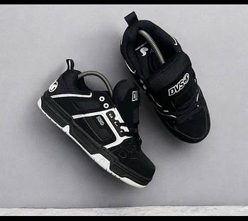 DVS
