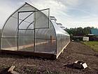 Теплица “ТИТАН Капля” 40х20, фото 2