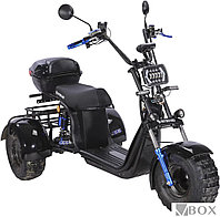 Электроскутер SkyBoard Trike BR40-3000 Pro Fast Off-Road SKY0001301 (черный)