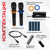 Беспроводные микрофоны для колонки ISA WM-3305, фото 3