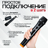 Беспроводные микрофоны для колонки ISA WM-3305, фото 4