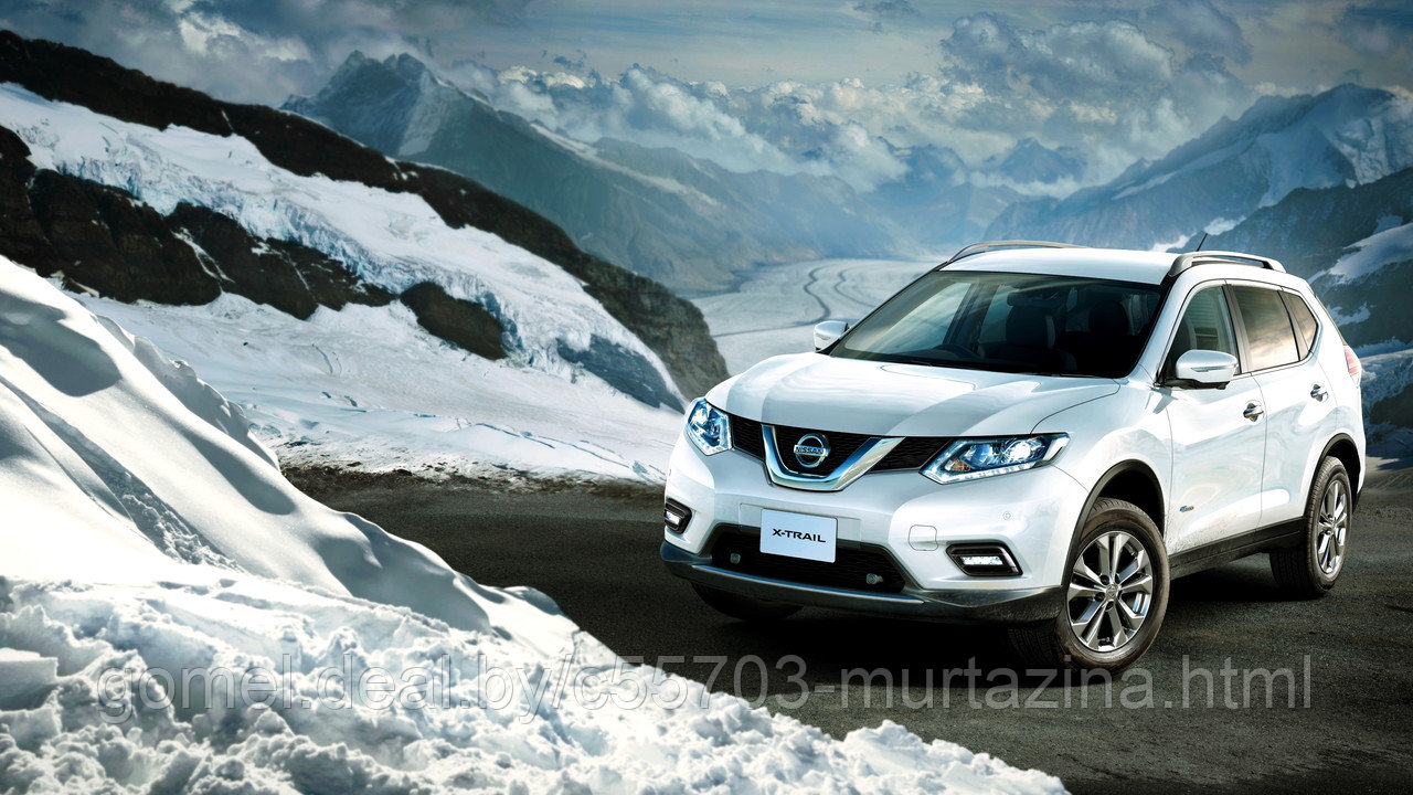 Компьютерная диагностика Nissan X-Trail - фото 1 - id-p33841846