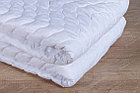 Одеяло облегченное с бамбуковым волокном OD-21 200х210 (Мелодия сна), фото 2