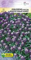 Лобулярия (алиссум) Фиолетовый ковёр