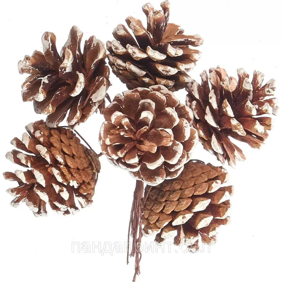 Связка шишек заснеженных 14 см, 6 шт (арт.4630270006882)