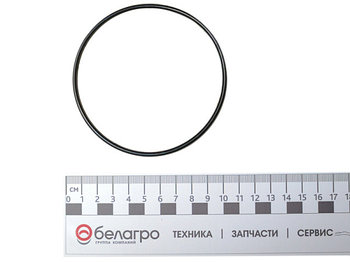 095-100-30-2-2 Кольцо уплотнительное, (У)