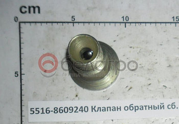 5516-8609240 Клапан обратный сб. (ОАО МАЗ)