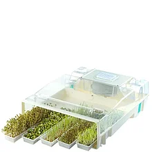 EasyGreen
