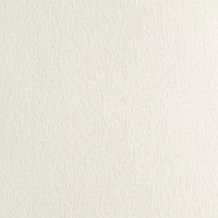 Бумага для печатных техник и пастели Fabriano Ingres Bianco 160 г 70 x 100 см