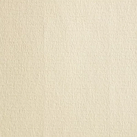 Бумага для печатных техник и пастели Fabriano Ingres Avorio 160 г 70 x 100 см