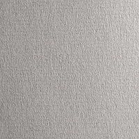 Бумага для печатных техник и пастели Fabriano Ingres Cenere 160 г 70 x 100 см