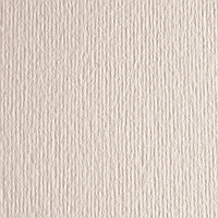 Бумага для пастели Fabriano LR Avorio 220 г 50*70 см
