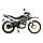 Мотоцикл Regulmoto SK 250GY-5 - Зелёный, фото 4