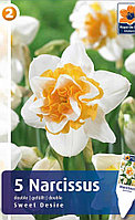 Нарцисс махровый Свит Дизайр 5шт/упак МССО