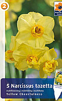Нарцисс Йеллоу Чирфулнэс 5шт/упак МССО