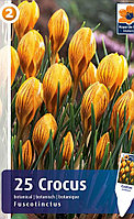 Крокус Фаскотинктус 25шт/упак МССО