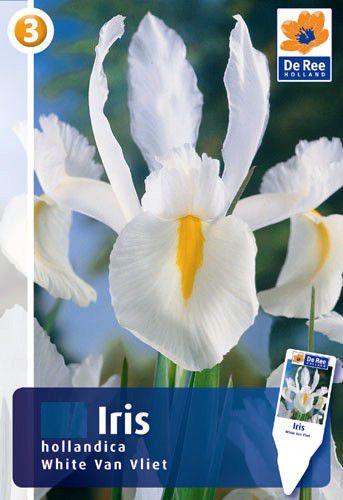 Ирис Голландика Вайт Ван Влит 5шт/упак МССО