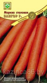 Морковь столовая Бангор F1 - фото 1 - id-p33970914