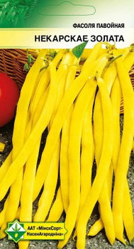 Фасоль вьющаяся (спаржевая) Некарское золото