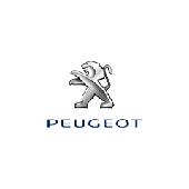 Ковры в салон и багажник для Peugeot