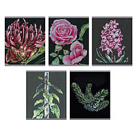 Тетрадь "Nature drawing (Эксклюзив)", А5, 96 листов, клетка, ассорти