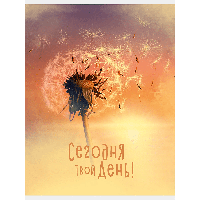 Тетрадь "Сегодня твой день", А4, 60 листов, клетка. желтый