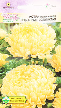 Астра однолетняя Леди коралл золотистая