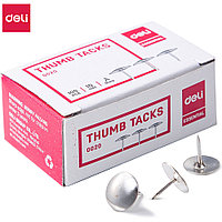 Кнопки-гвоздики "Deli", 10 мм, 100 шт, серебристый