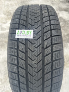 Автошины Gripmax SureGrip Pro Winter 315/30R22 107V
