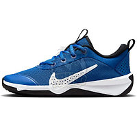 Кроссовки игровые детские Nike Omni Multi-Court Gs (арт. DM9027-403)