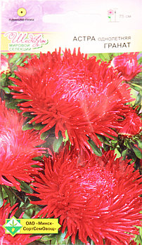 Астра однолетняя Гранат