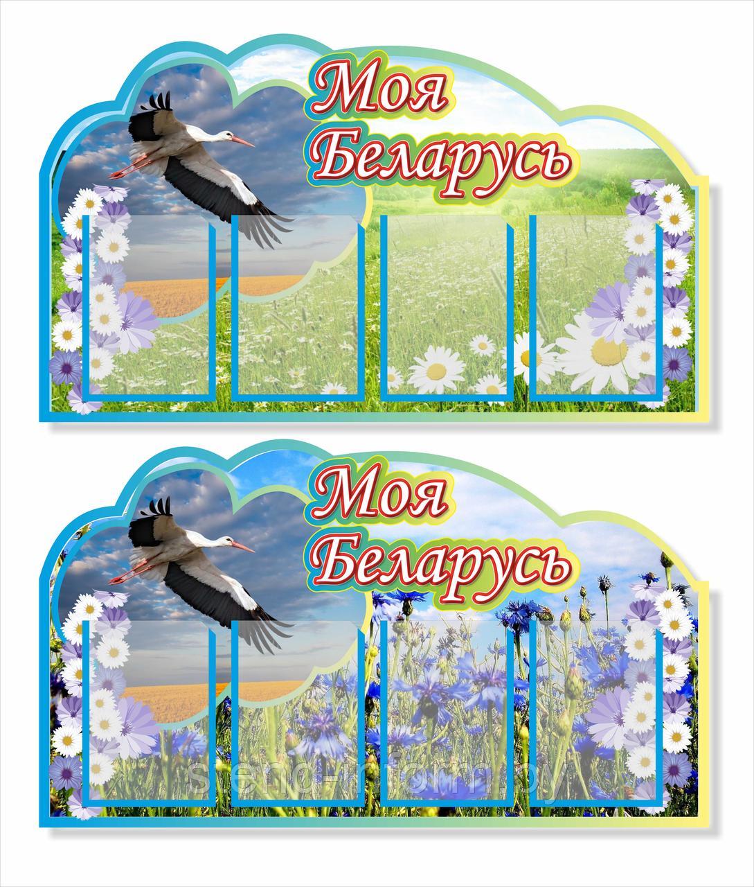 Стенд для школы "Моя Беларусь" р-р 105*65 см, на пластике 3 мм с карманами А4