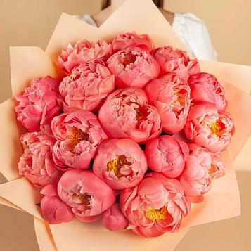 Пион Корал Шарм