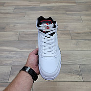 Кроссовки Air Jordan 5 Retro Concord, фото 4