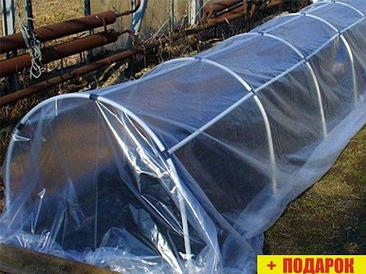 Парник Остров Комфорта Ранний Большой 6 м