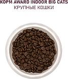 Сухой корм для кошек Award Adult Indoor Big Сats (для крупных пород с говядиной и курицей с добавлением, фото 6